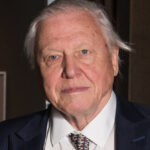 voice over performance